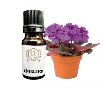 1_Фиалка-350x300