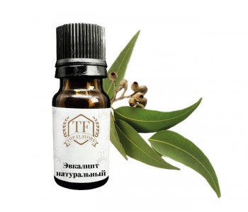 1_Эвкалипт нат-350x300