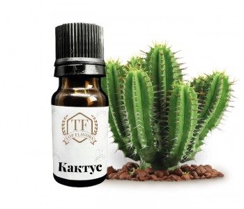 1_Кактус-350x300