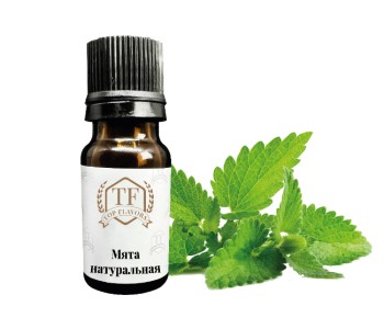 1_Мята нат-350x300