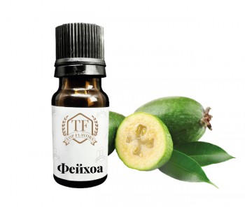 1_Фейхоа-350x300