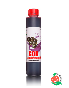 Сок черносмородиновый концентрированный 1 кг