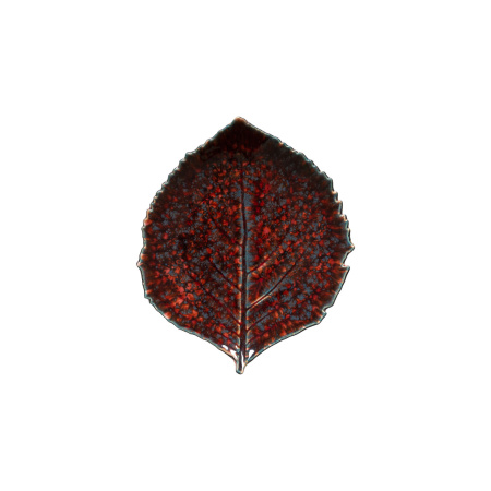 VEP221-VGN