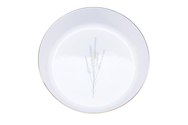 8fed299f0d364d9bb37ad29426b1c81d