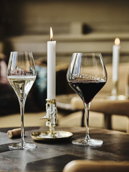 vinglas-zwiesel-finesse-02-24512