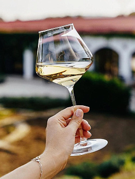 Бокал для вина 450 мл, D=104, H=222мм "Ревил ап"