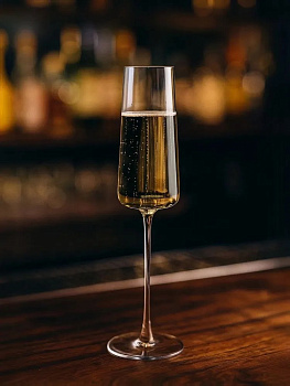 Бокал для шампанского 240 мл, D=45, H=260 мм "Биарриц-Зефир"